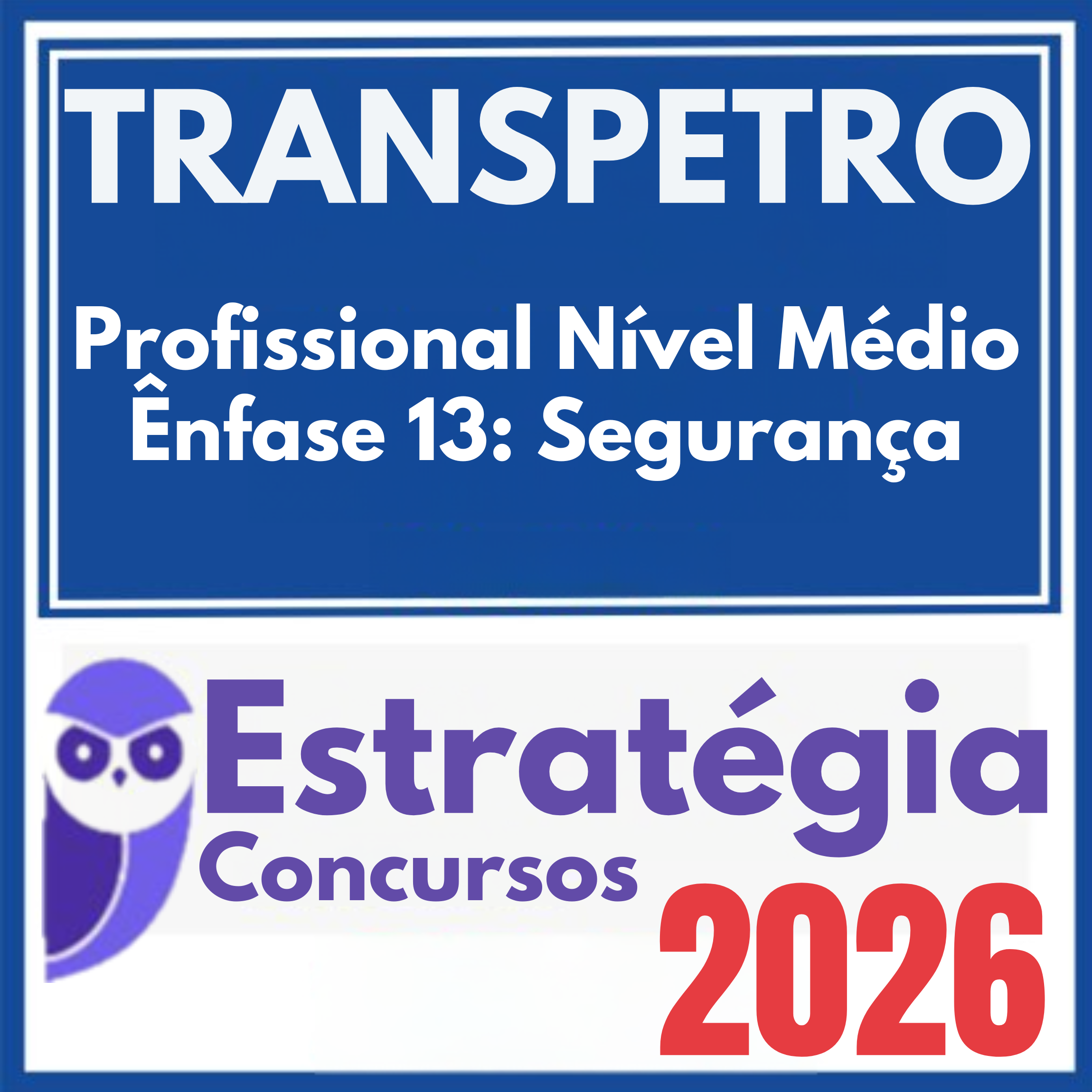 transpetro-enfase13-seg